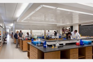 UMASS New Laboratory Science Building
